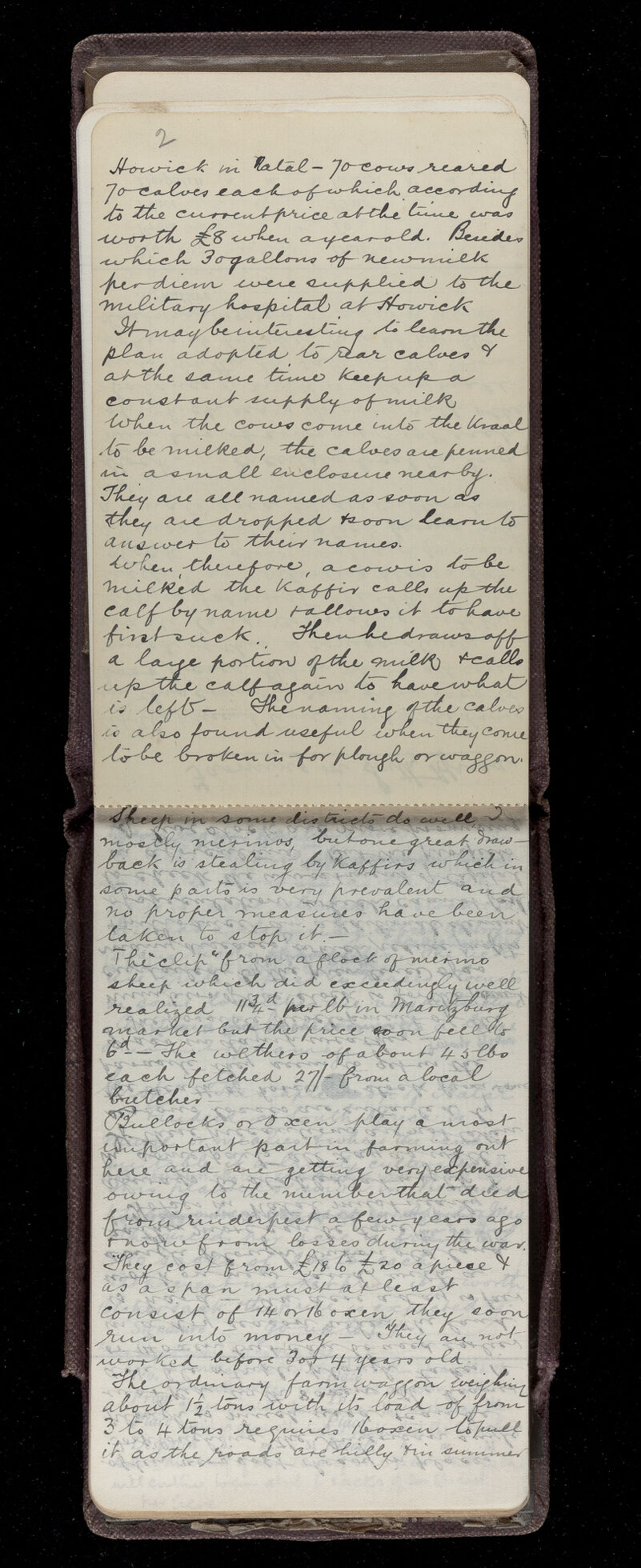 No text description is available for this image