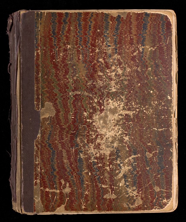 No text description is available for this image