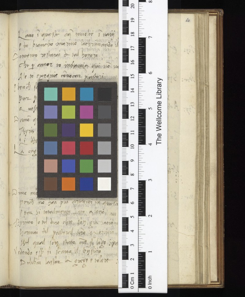 No text description is available for this image