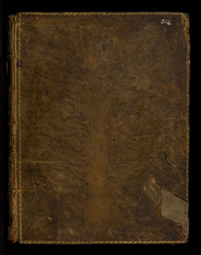 No text description is available for this image