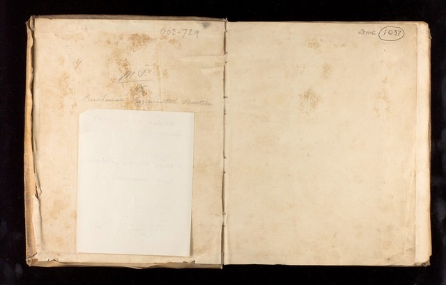 digitised image 3