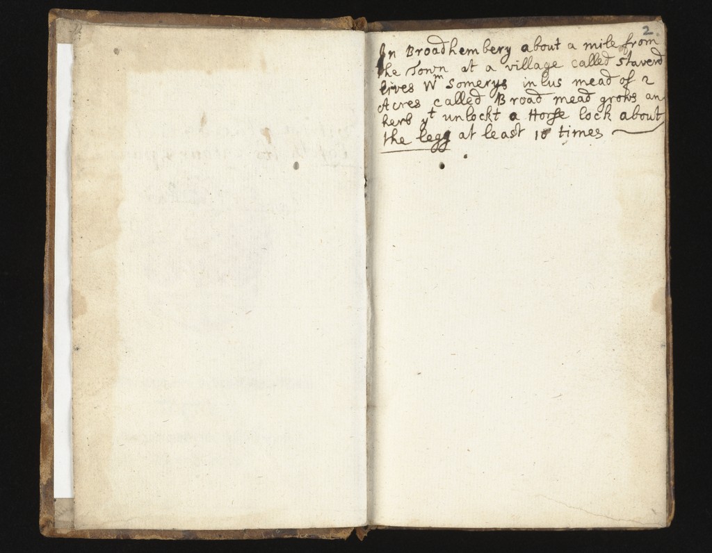 link to previous page