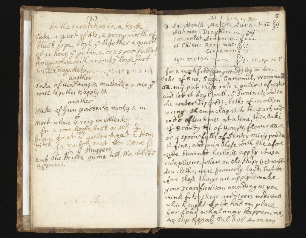 link to previous page
