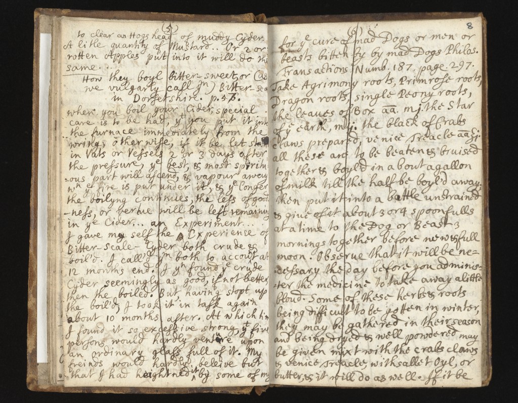 link to next page