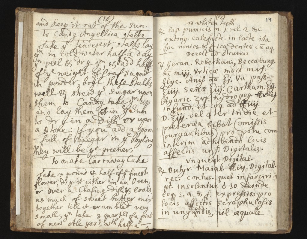 link to previous page