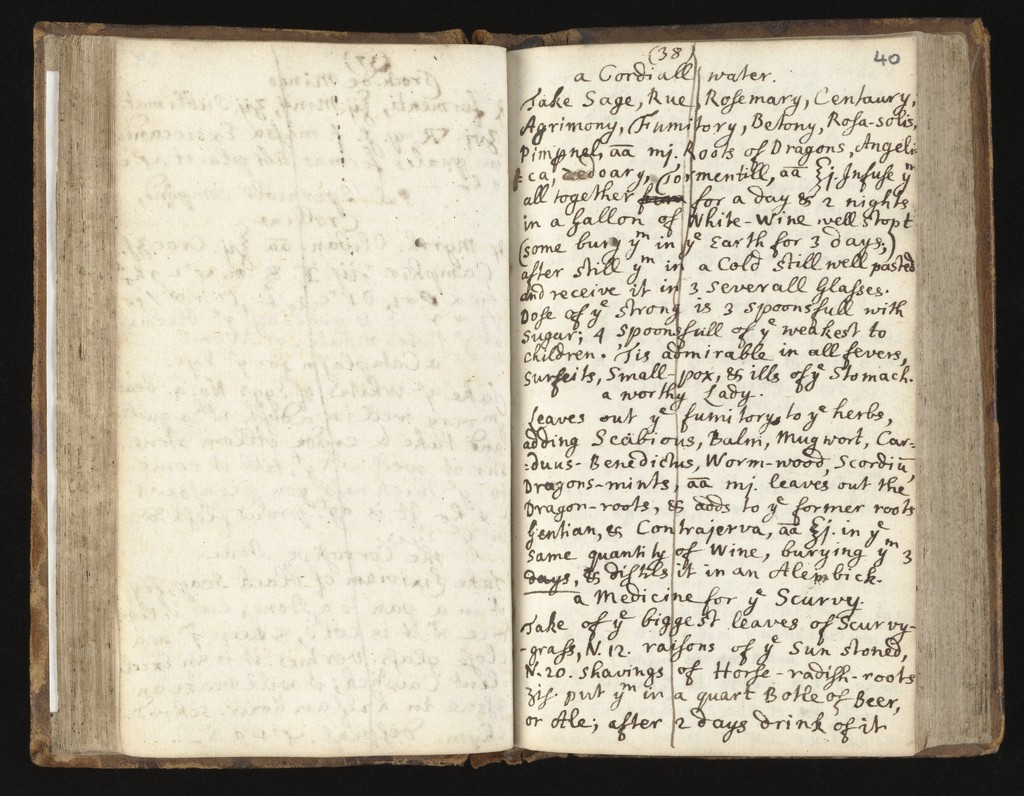 link to previous page