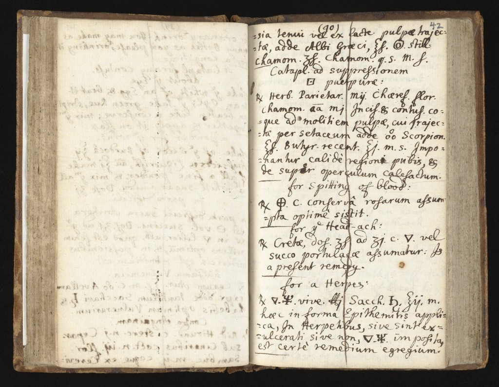 link to previous page