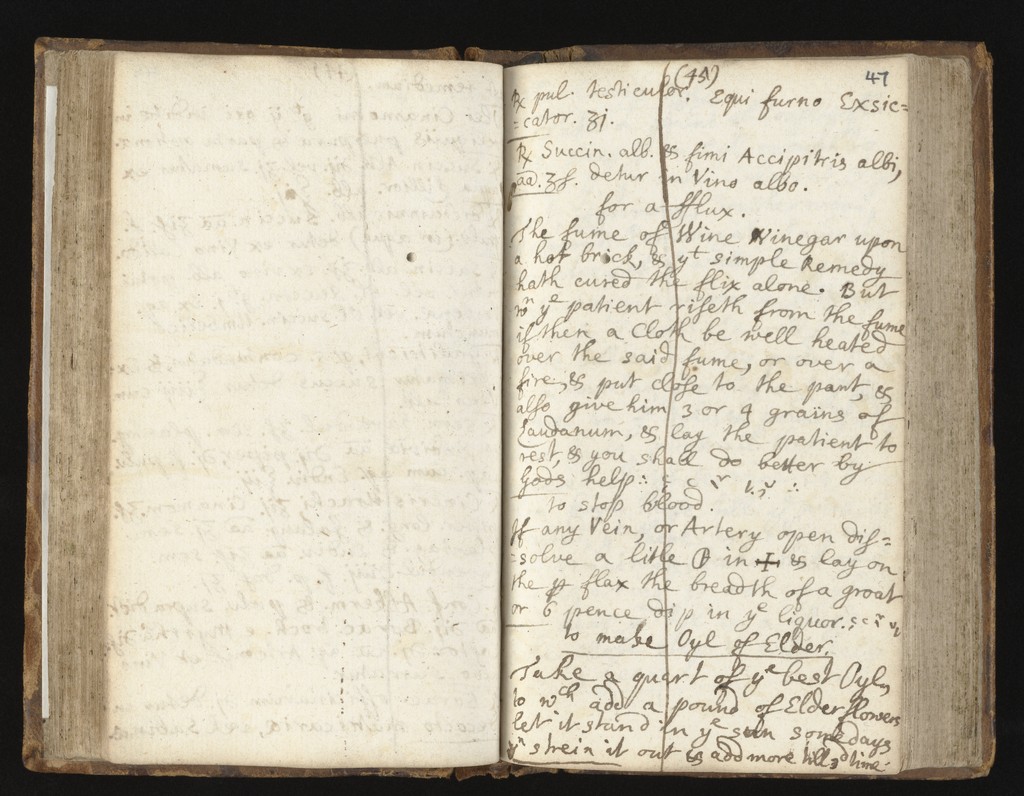 link to previous page