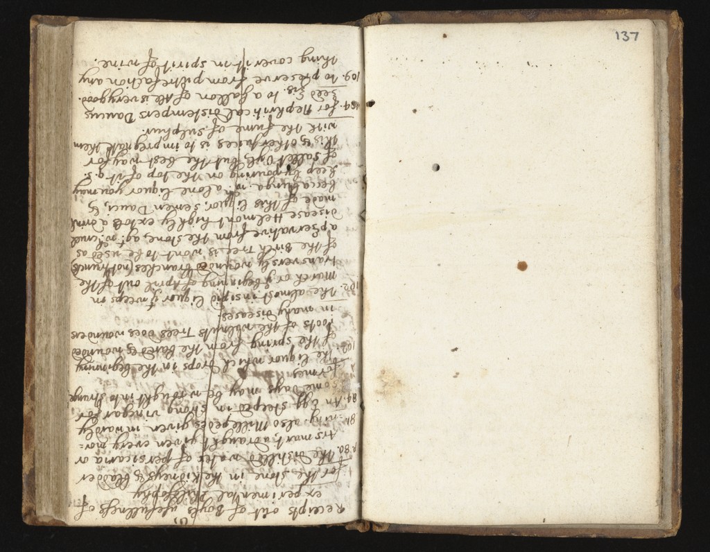 link to previous page