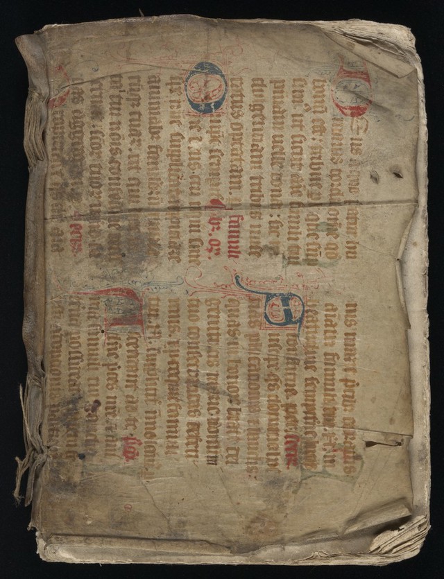 No text description is available for this image