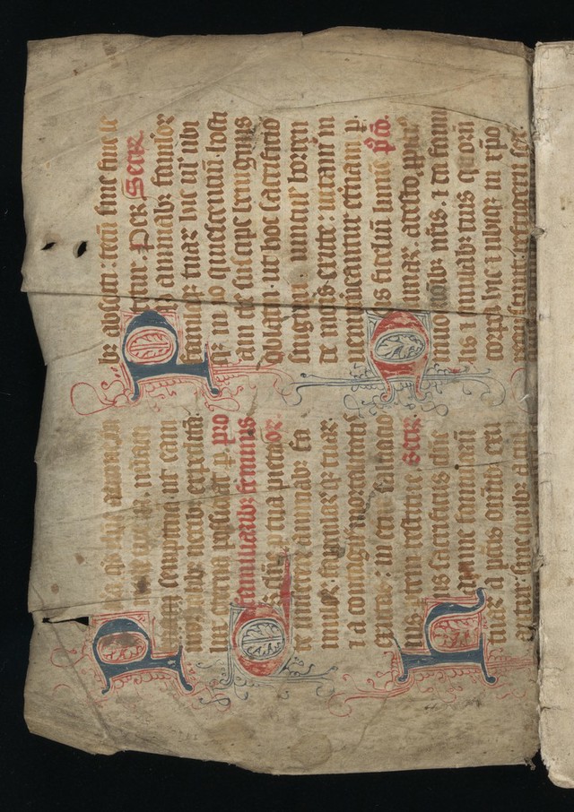 No text description is available for this image