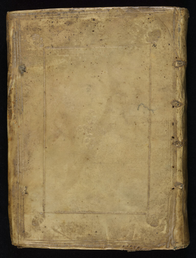 No text description is available for this image