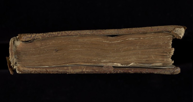 No text description is available for this image