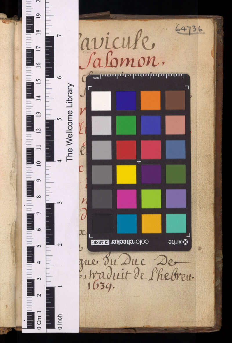 No text description is available for this image