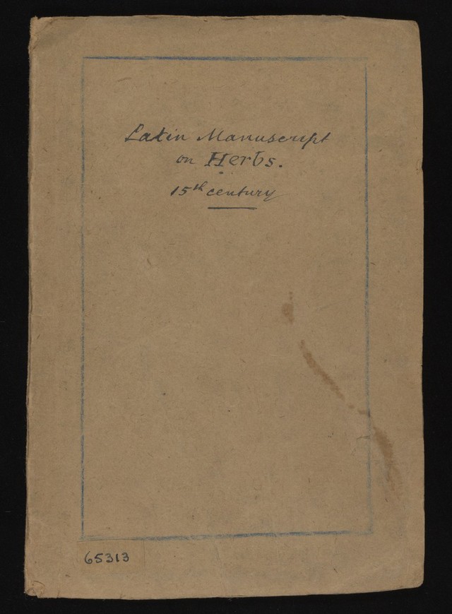 digitised image 1
