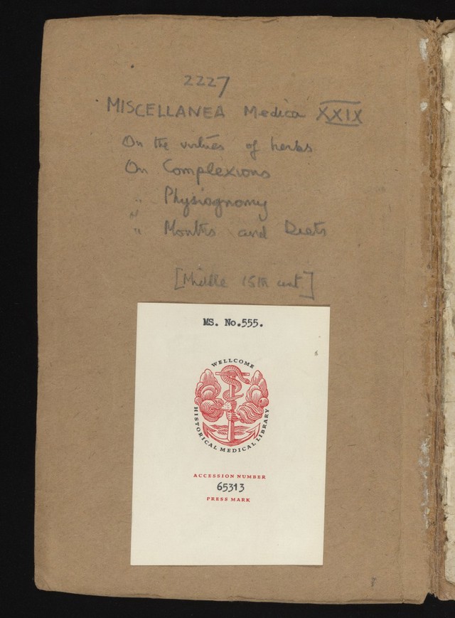 digitised image 2