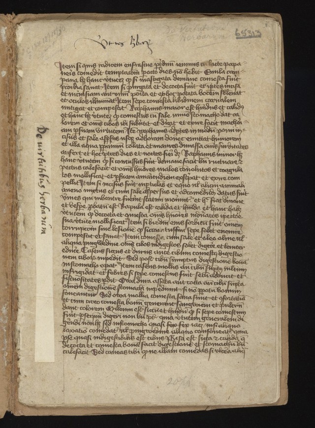 digitised image 3