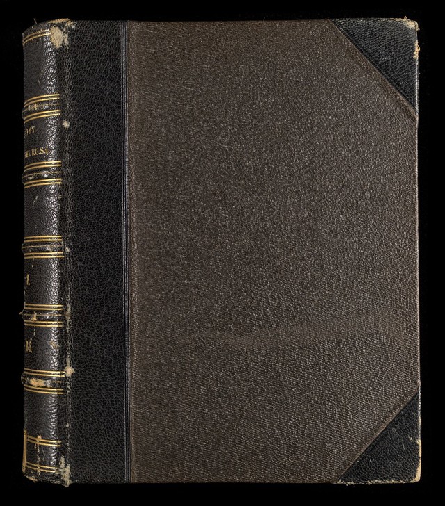 No text description is available for this image