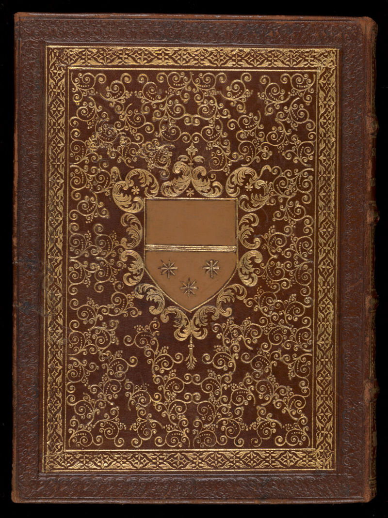 No text description is available for this image