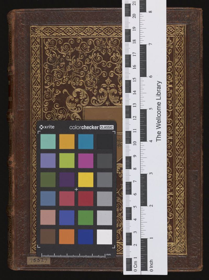 No text description is available for this image