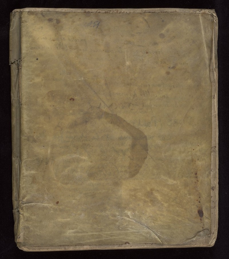 No text description is available for this image