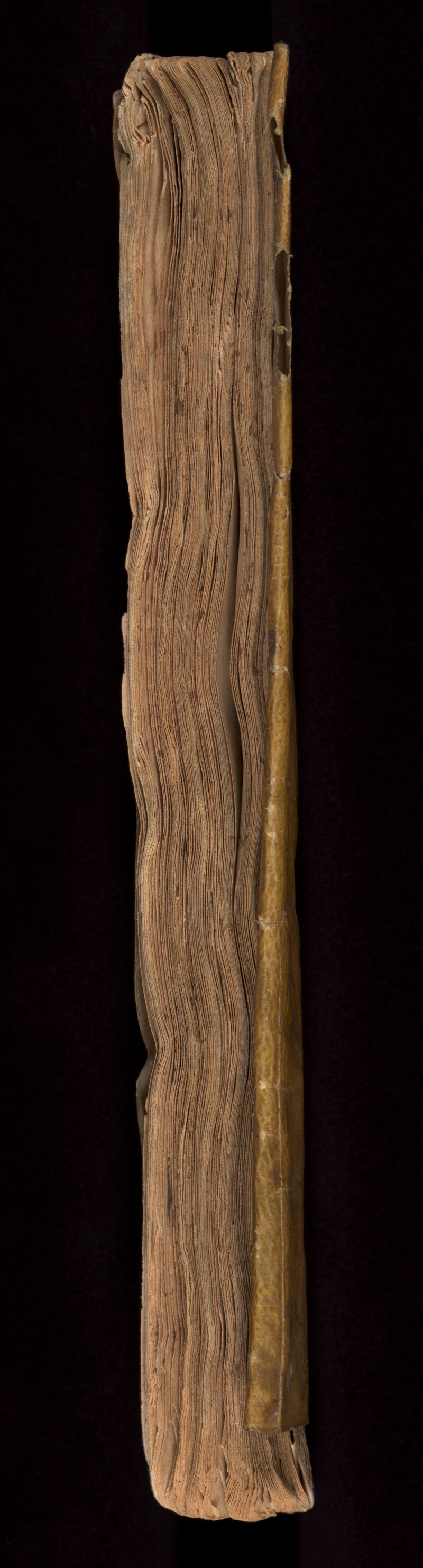 No text description is available for this image