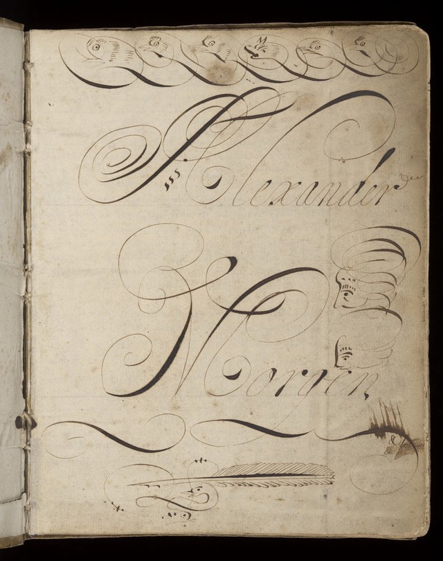 No text description is available for this image