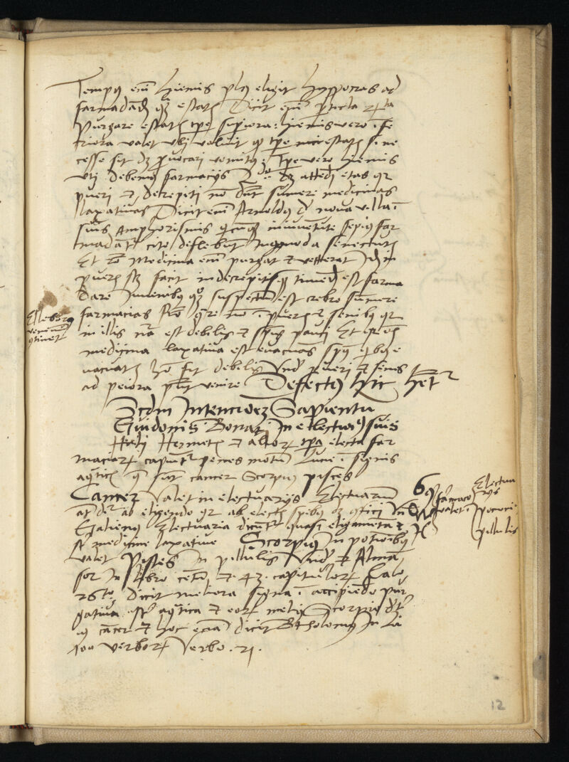 No text description is available for this image