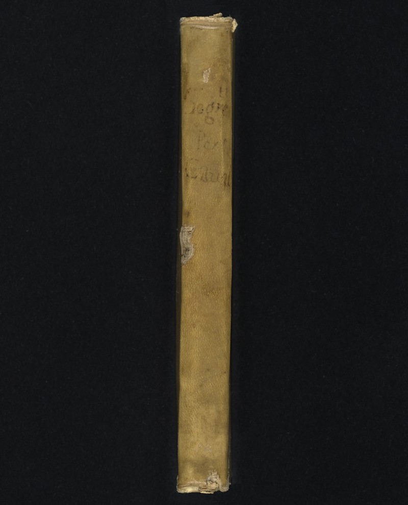 No text description is available for this image