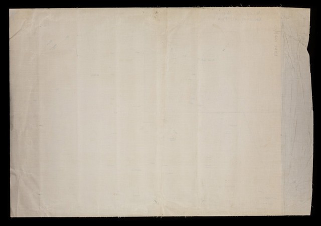 digitised image 2
