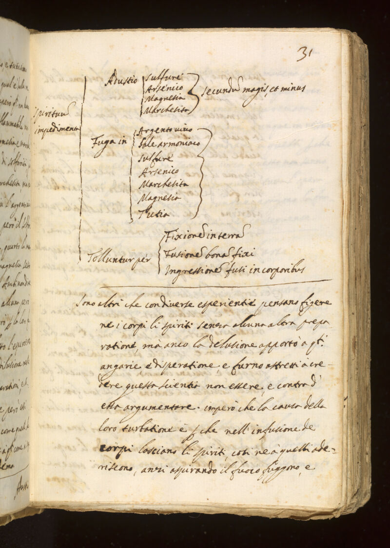 No text description is available for this image