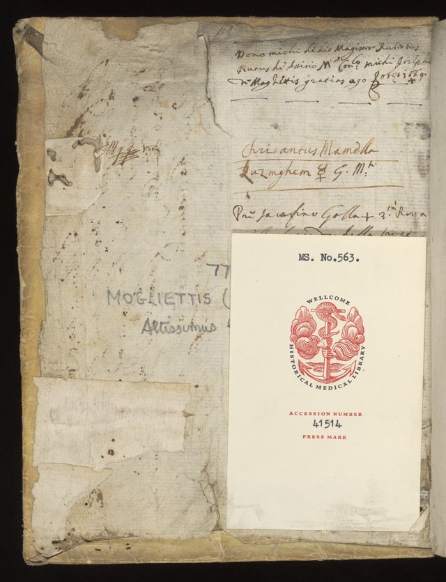 digitised image 2