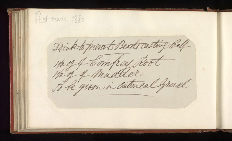 No text description is available for this image