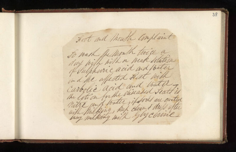 No text description is available for this image