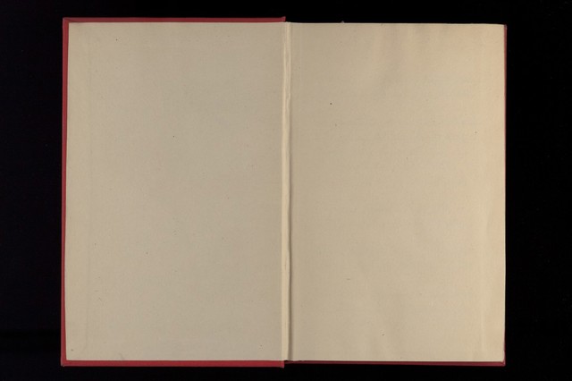 digitised image 2
