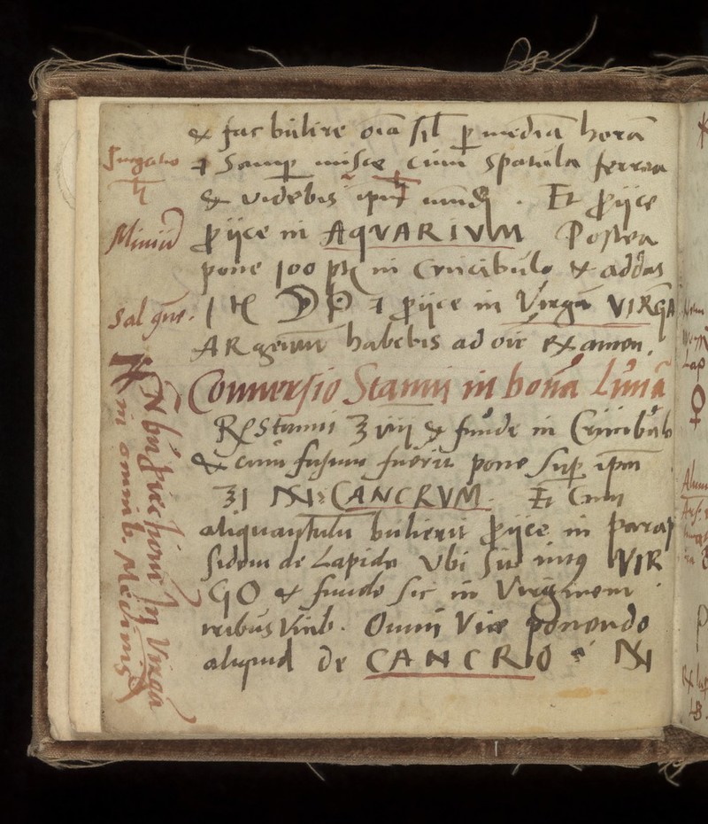 No text description is available for this image