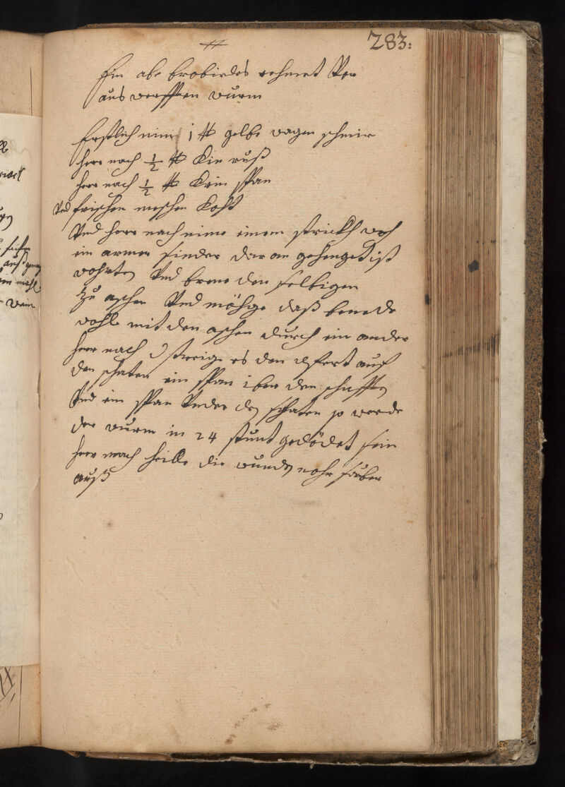 No text description is available for this image