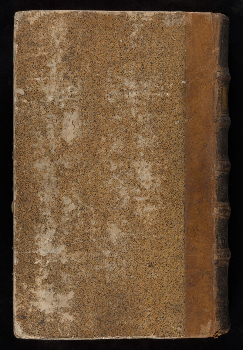 No text description is available for this image