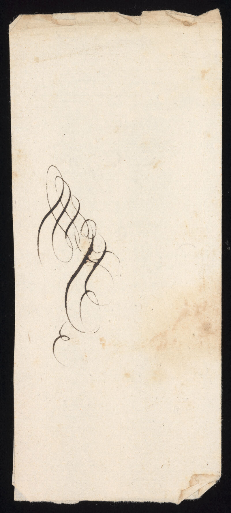 No text description is available for this image