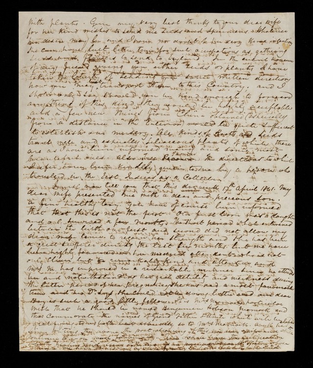 digitised image 3
