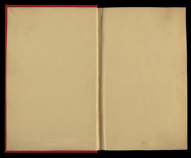 digitised image 2