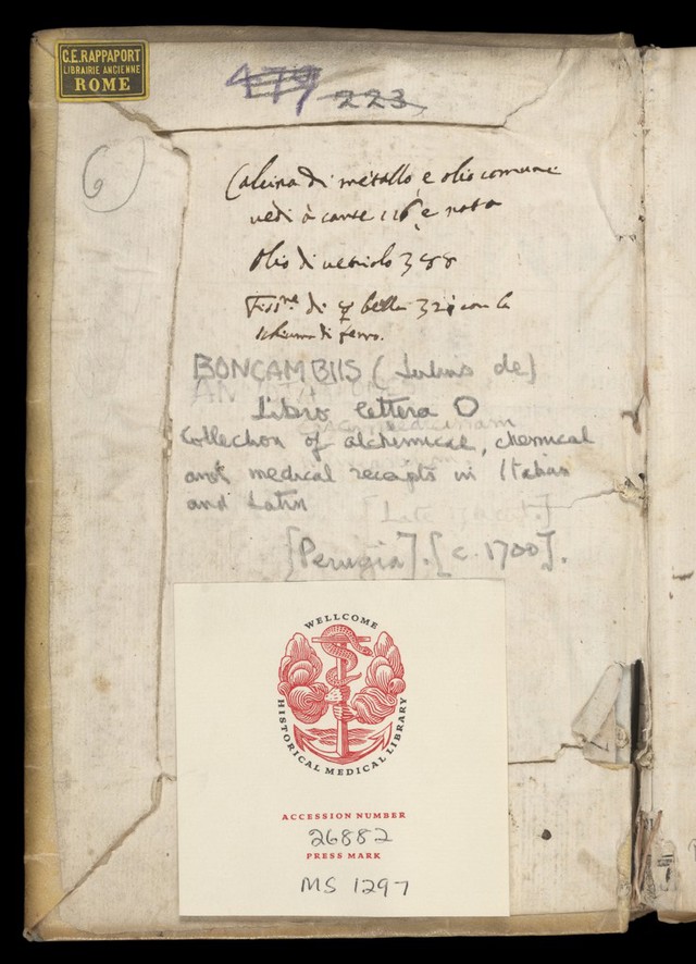 No text description is available for this image