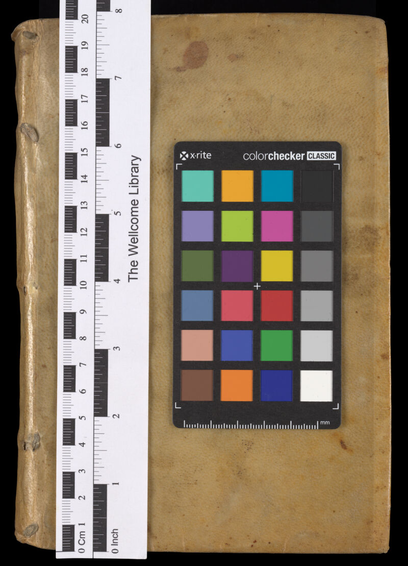 No text description is available for this image