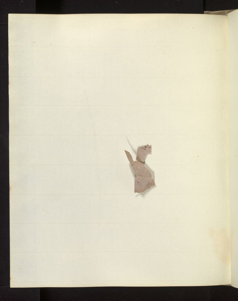 No text description is available for this image