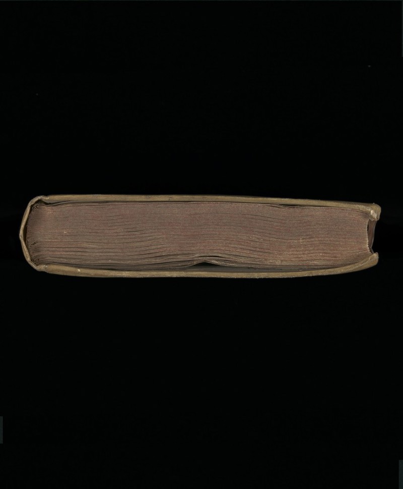 No text description is available for this image