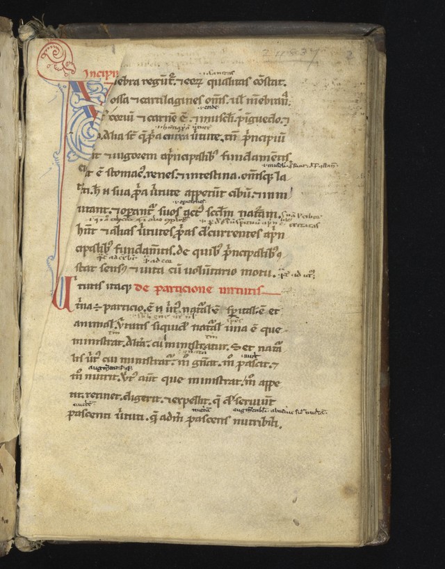 digitised image 3