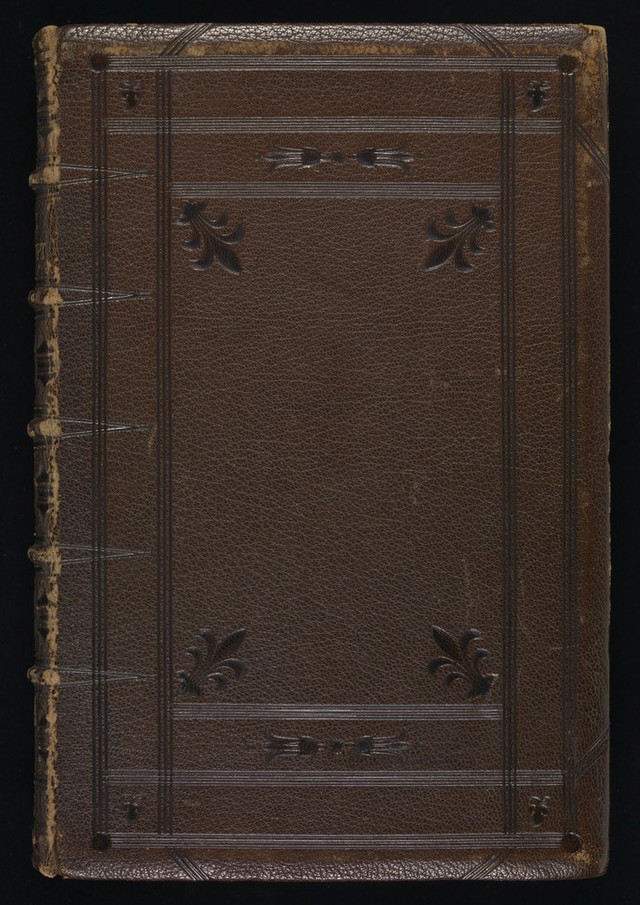 No text description is available for this image