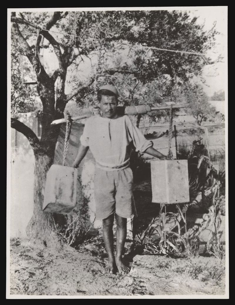 No text description is available for this image