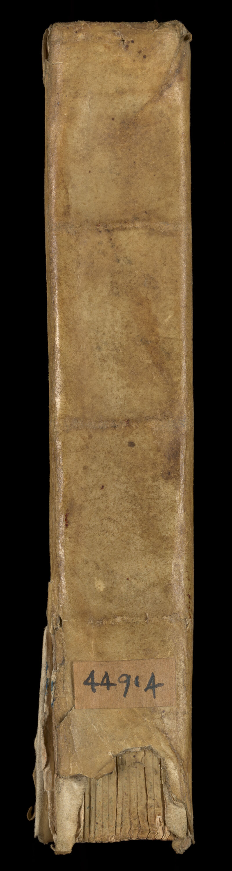 No text description is available for this image