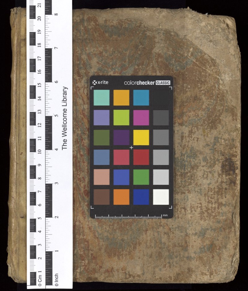 No text description is available for this image